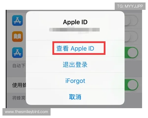 凯发手机会员注册流程详解帮助新手快速完成注册