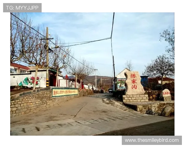 了解K8体育正规平台的优势，打造安全可靠的体育博彩新体验