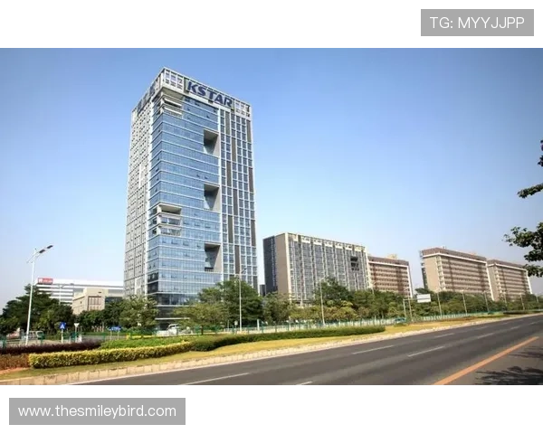 凯发K8线上登陆平台安全可靠，保障玩家资金与信息安全的详细指南